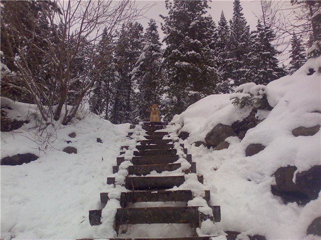 Рыбалка на Снежной (23 октября 2010)