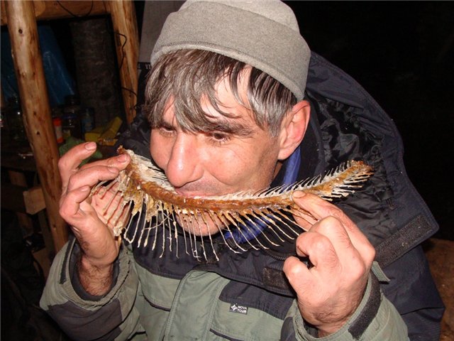 И «как пожрать»