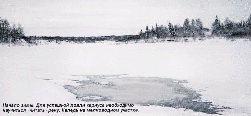 Зимний хариус полярного урала