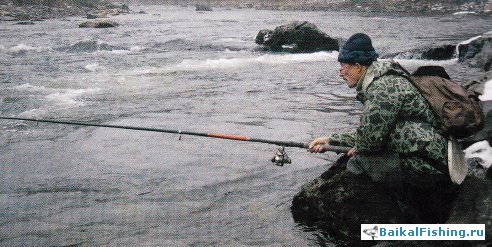 Путешествие Сибирского хариуса