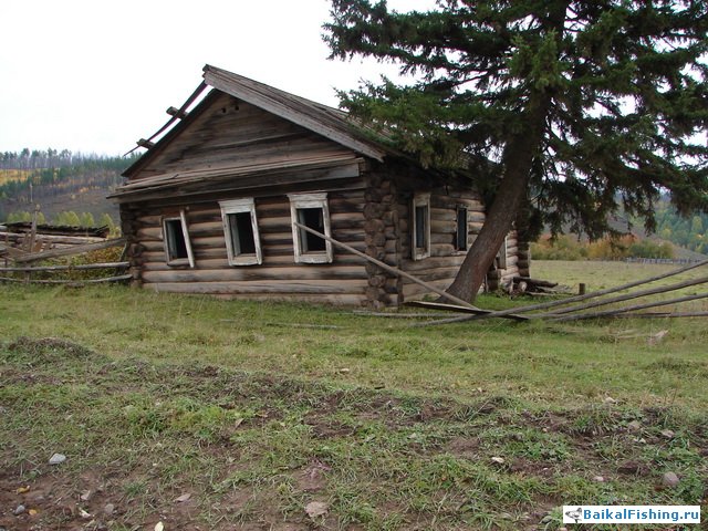 Отчет о рыбалке на Лене в районе д. Тюменцево (17-18.09.2011)