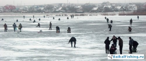 подледная ловля карпа