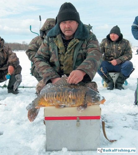 Зимняя ловля карпа