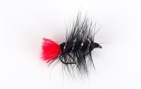 Wooly Worm