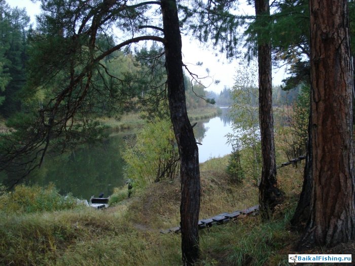 Ловля окуня на реке в Иркутской области (Осень 2011г.)