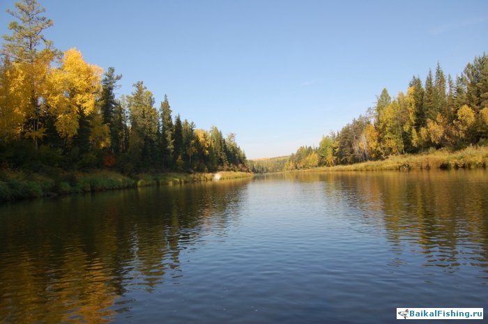 Ловля окуня на реке в Иркутской области (Осень 2011г.)