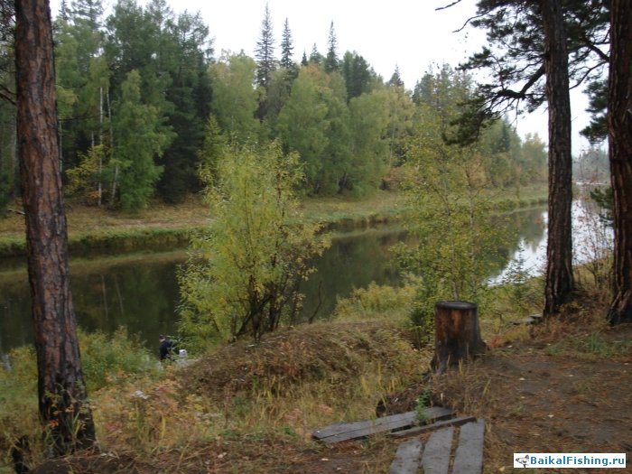 Ловля окуня на реке в Иркутской области (Осень 2011г.)