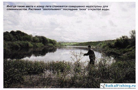 Тонкости в ловле щуки
