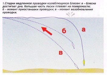 Тонкости в ловле щуки